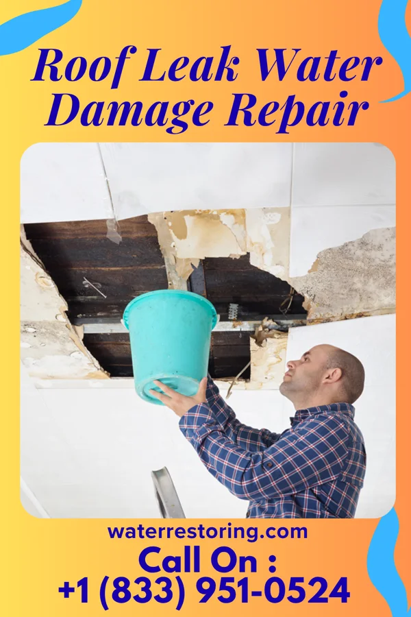 Roof Leak Water Damage Repair in Quincy, IL